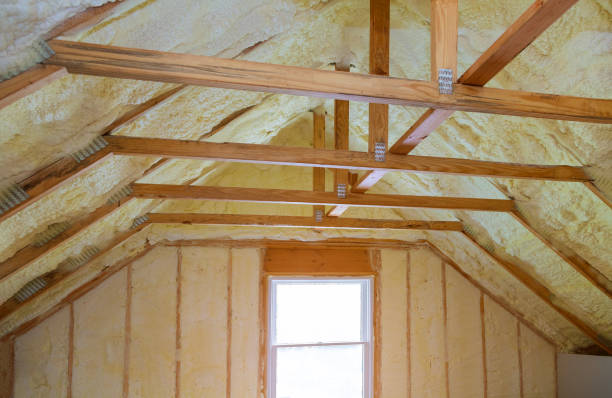Best Fiberglass Insulation  in Nashville, MI